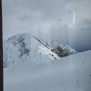 Meet your Posher, Suzanne